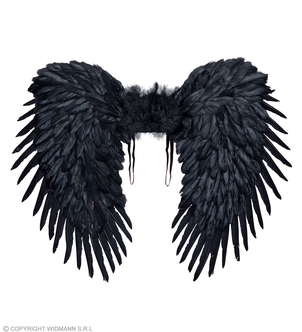 Černá křídla