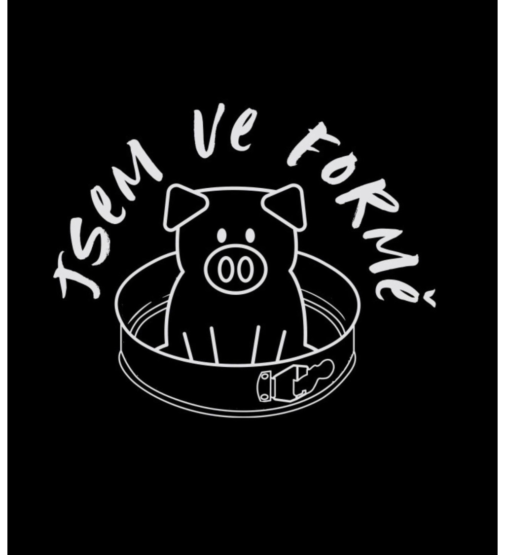 Dámské tričko černé Jsem ve formě XS